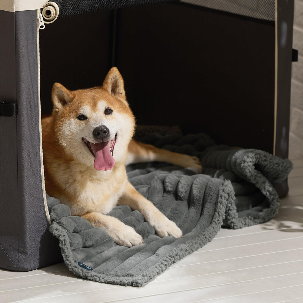 Bedsure ComfyFleece parfait pour grand chien et moments de repos.