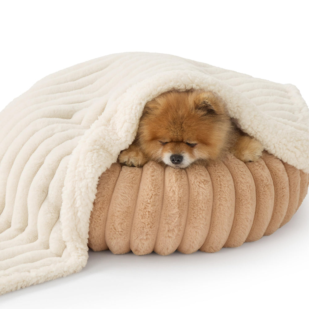 Texture corduroy et sherpa Bedsure ComfyFleece pour un cocon douillet