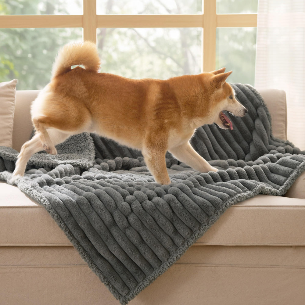 Bedsure ComfyFleece coutures renforcées pour durabilité quotidienne.