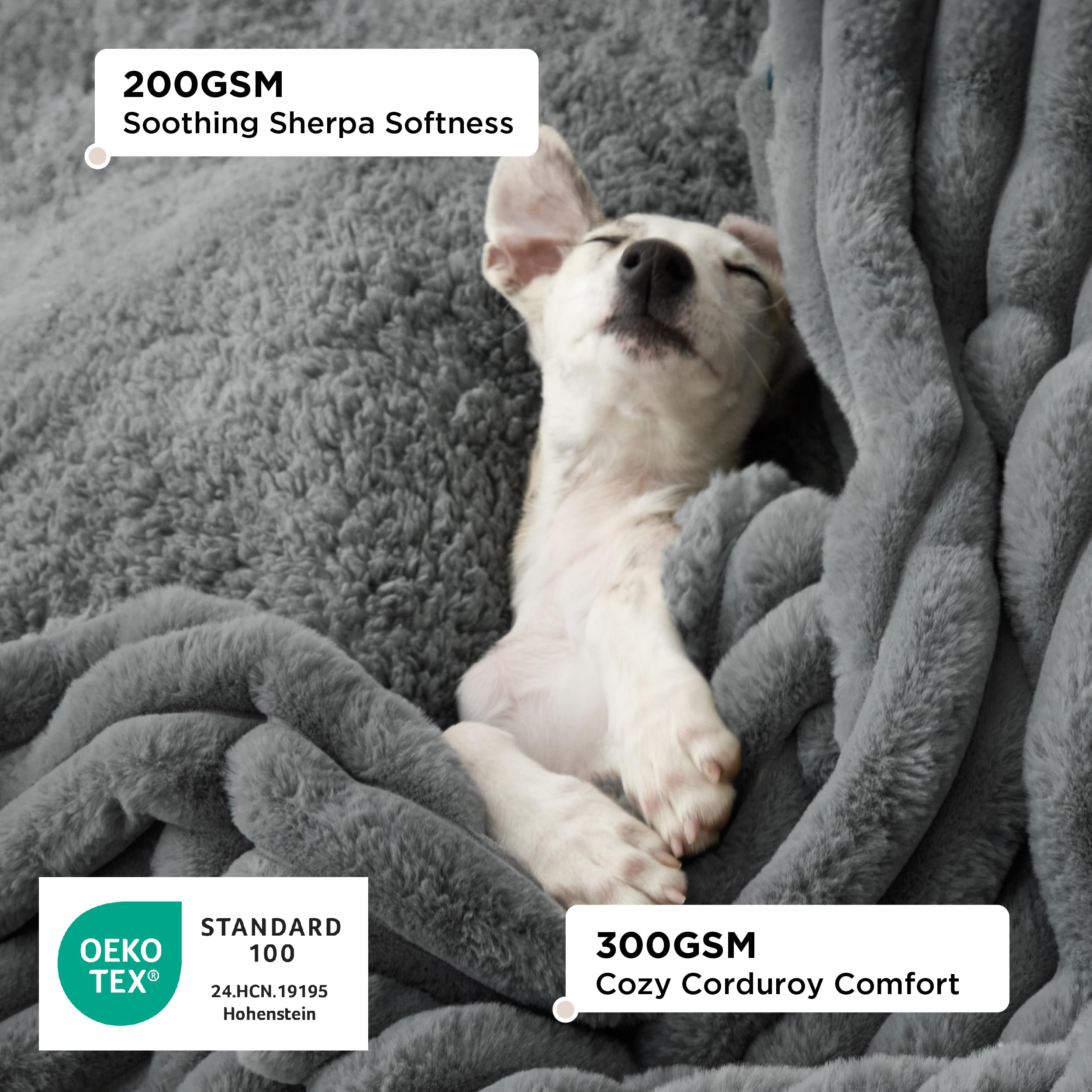 Bedsure ComfyFleece – couverture chien imperméable verso, évite les taches sur le sol.