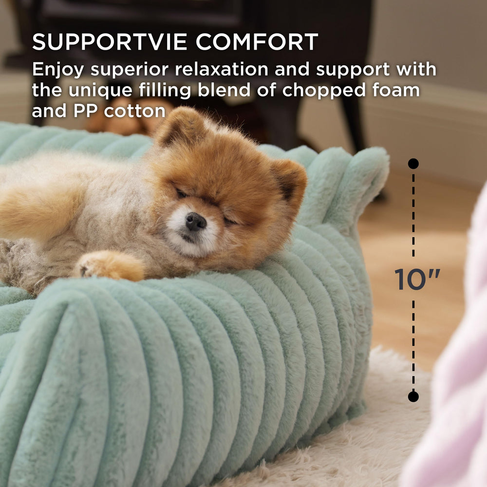 Bedsure ComfyFleece surface douce en fourrure pour animaux.