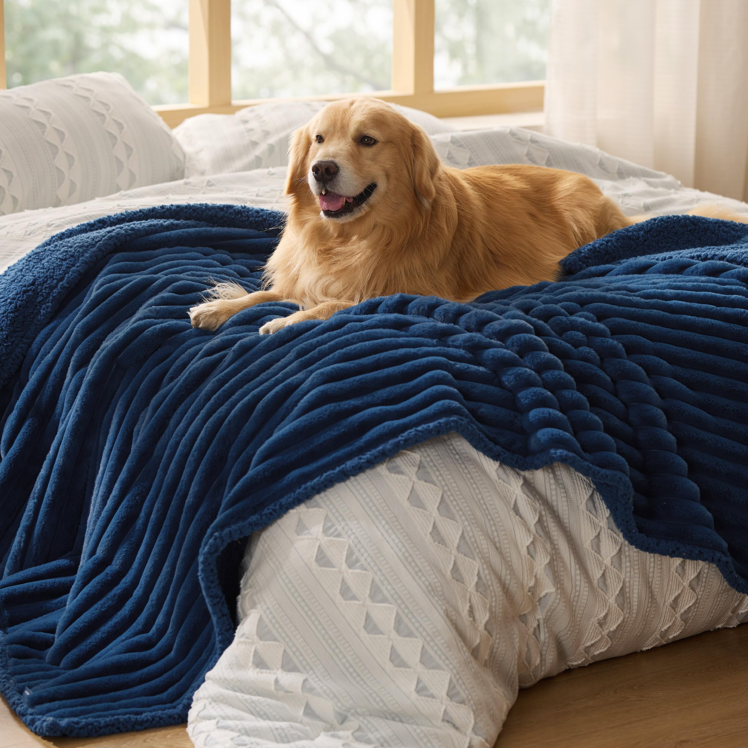 Bedsure ComfyFleece usage voyage chien plage camping