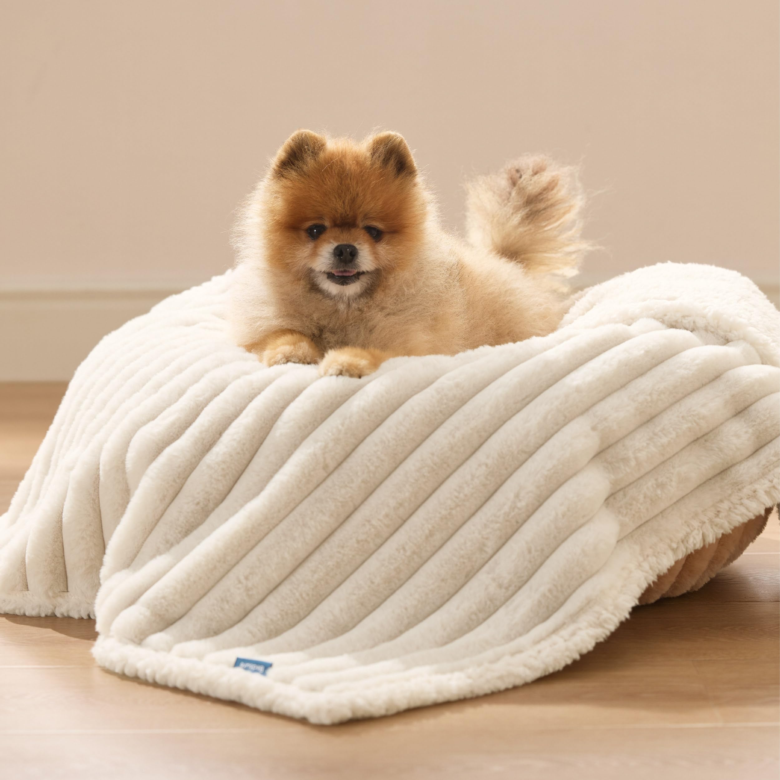 Utilisation quotidienne Bedsure ComfyFleece pour petits chiens et chatons