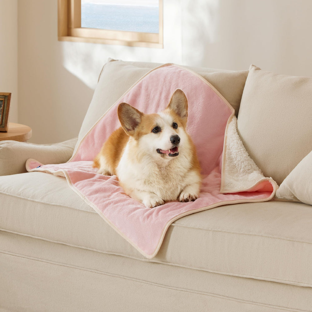 Bedsure couverture chat imperméable rose, protège le canapé des liquides et salissures.
