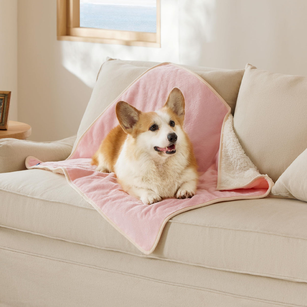 Bedsure couverture chat imperméable rose, protège le canapé des liquides et salissures.
