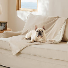 Bedsure Couverture Chat Impermeable Sherpa pour chaleur et protection du canapé