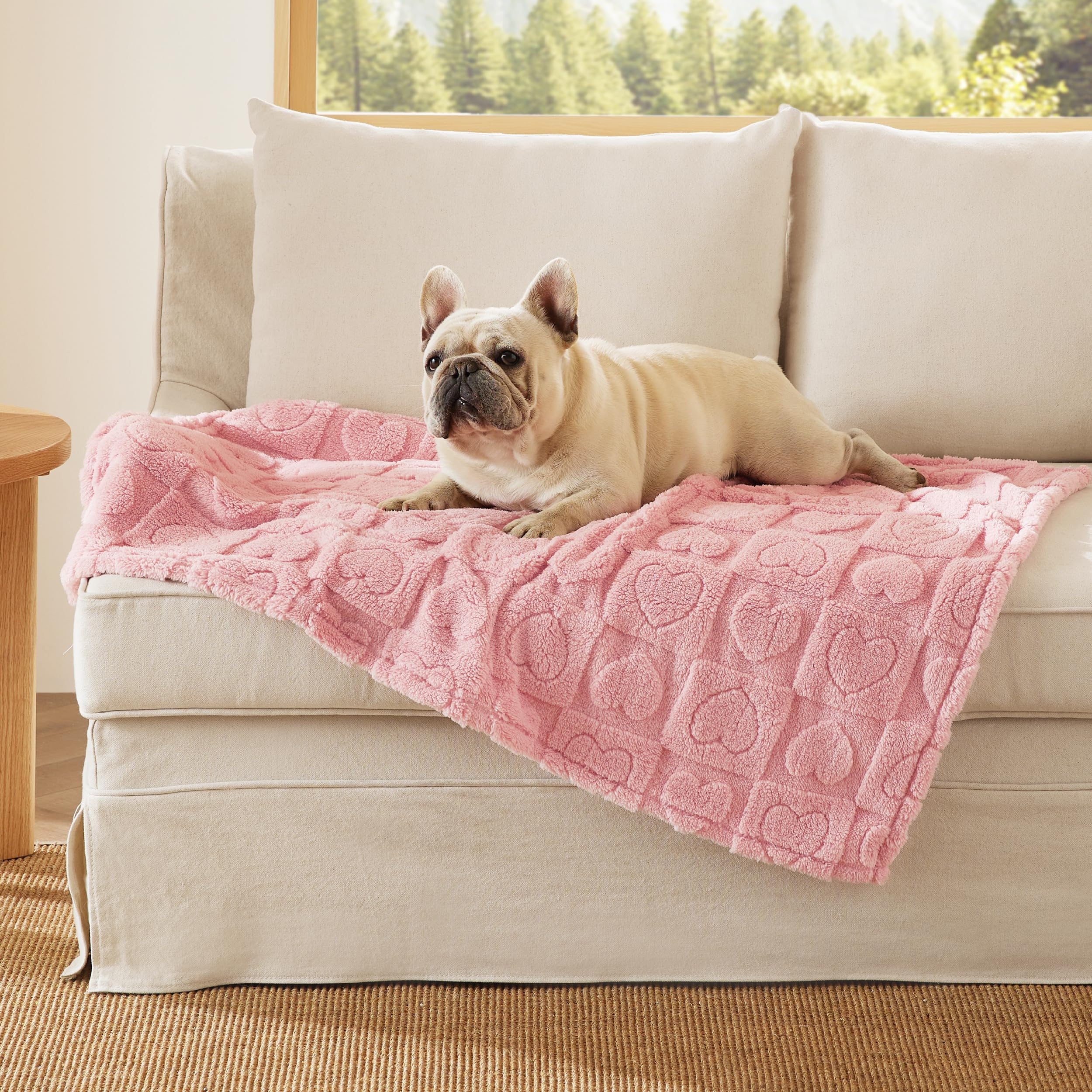 Bedsure Couverture chien doux rose 30x40 pouces pour câlins.