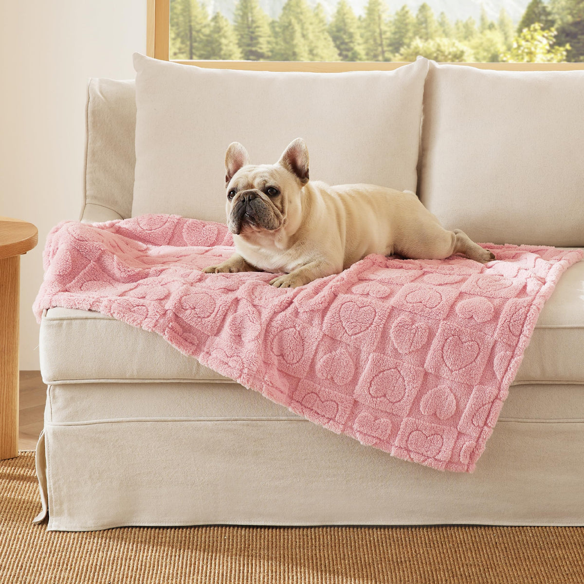 Bedsure Couverture chien doux rose 30x40 pouces pour câlins.