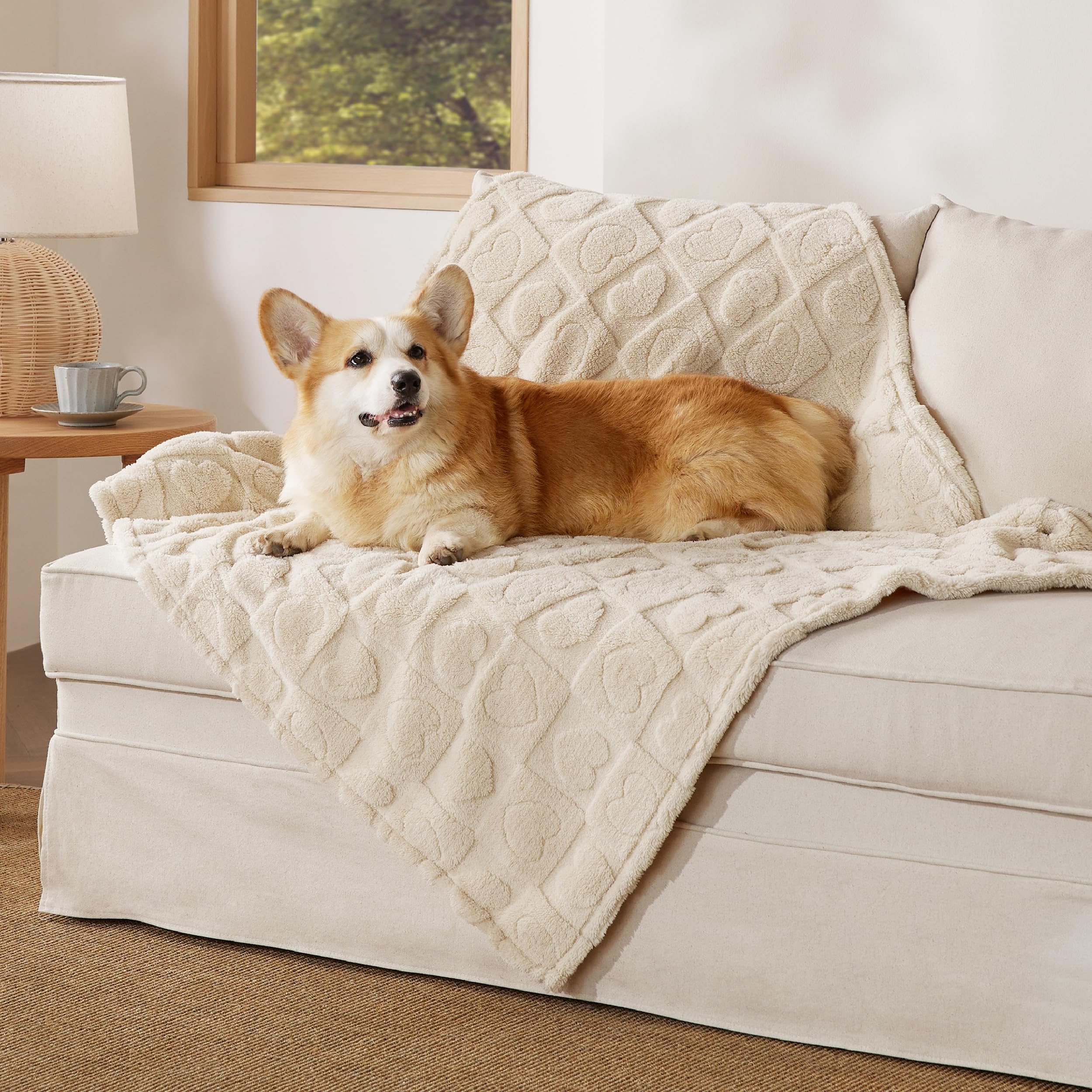 Bedsure couverture-chien-grand-doux-300gsm: confort pour les siestes quotidiennes.