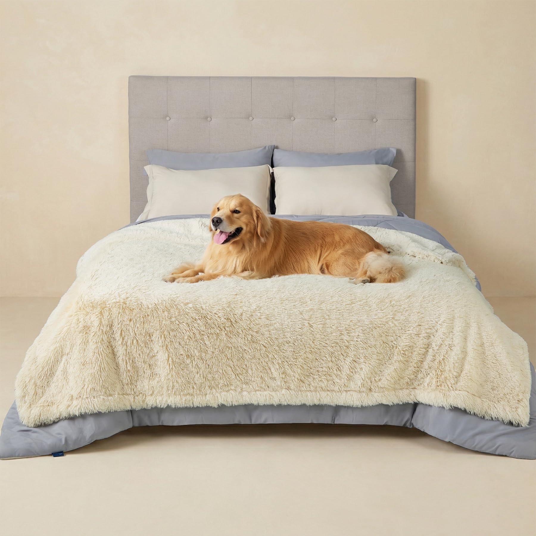 Bedsure couverture chien imperméable crème protège canapé des déversements