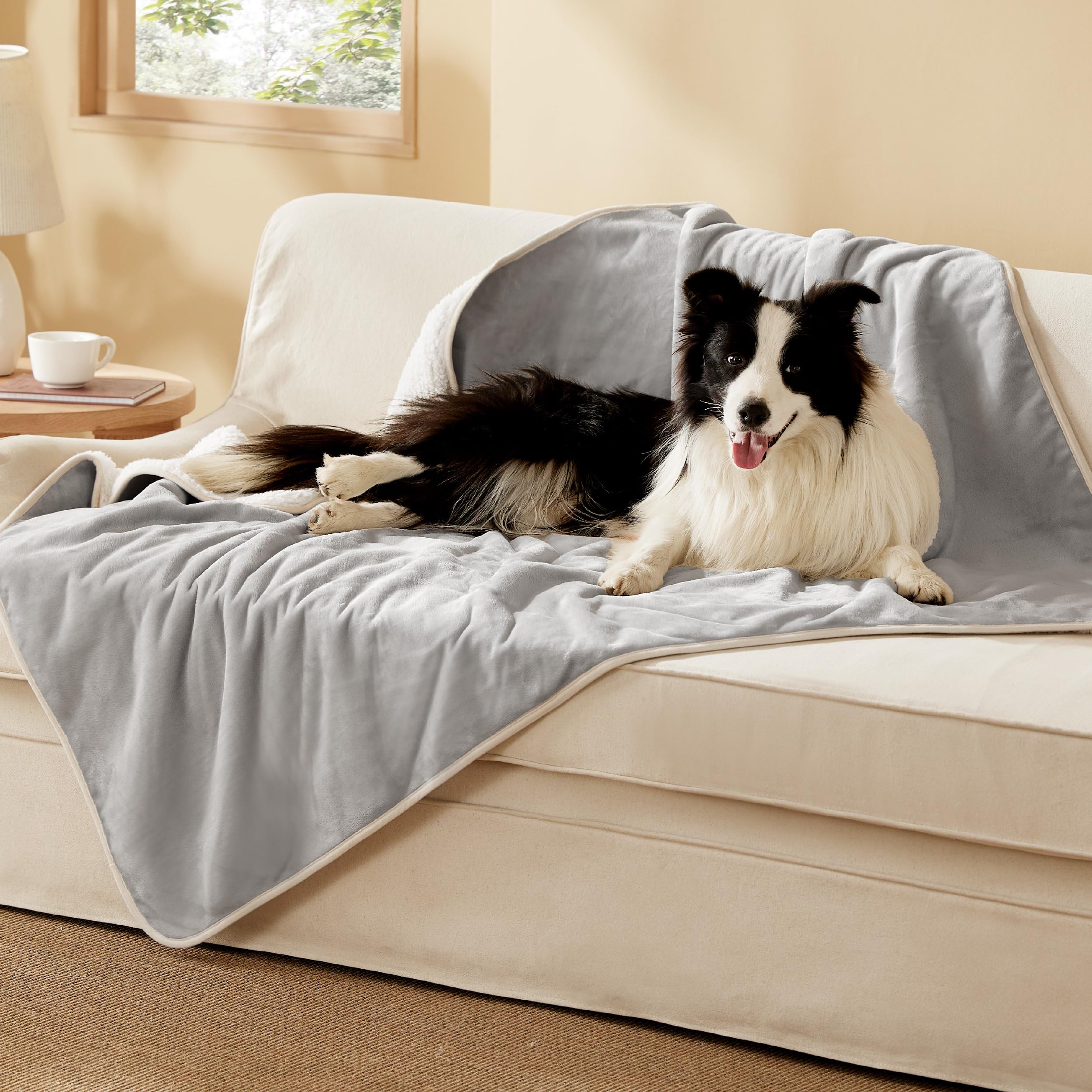 Bedsure couverture chien impermeable xl sherpa montre protection contre humidité sur canapé