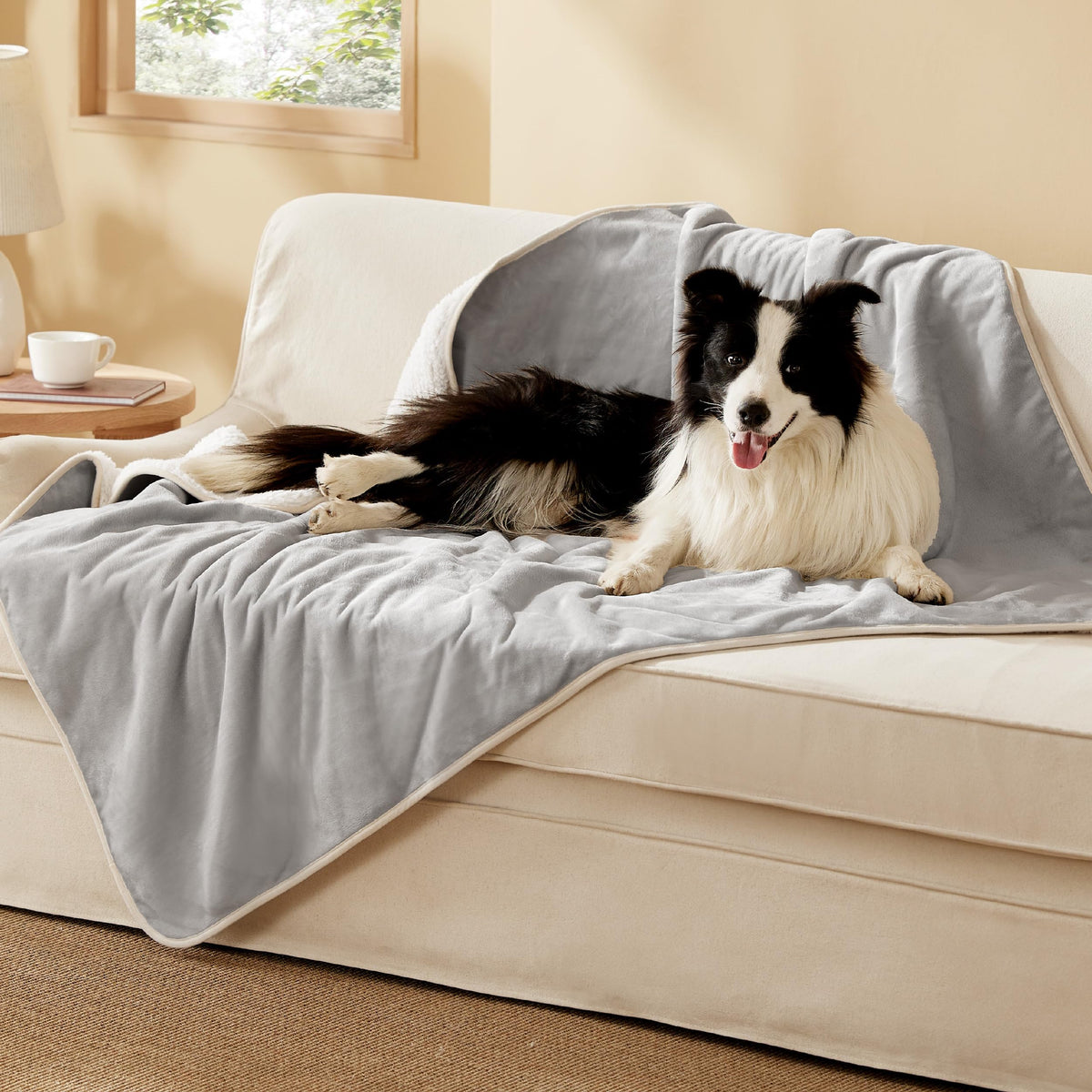Bedsure couverture chien impermeable xl sherpa montre protection contre humidité sur canapé