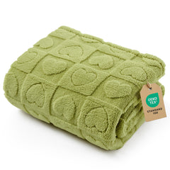 Bedsure couverture-chien-petit-vert-25x35 idéale pour les câlins sur le canapé.