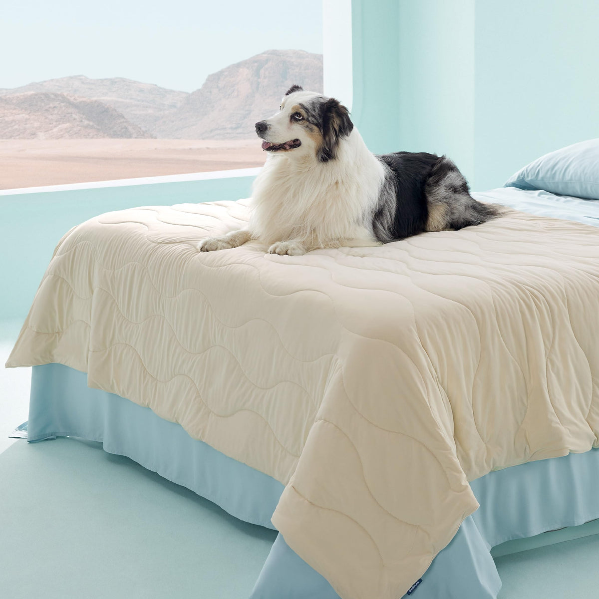 Bedsure couverture-chien-refroidissante 60x80 pour une fraîcheur durable.
