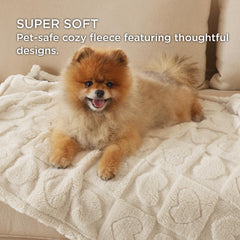 Bedsure couverture chiot dort sur canapé, confort cosy pour les moments détente.