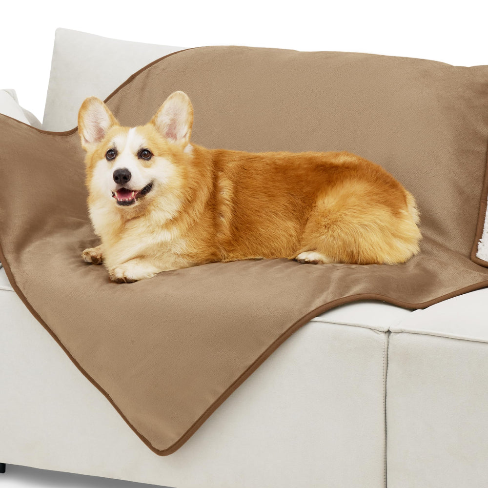 Bedsure couverture impermable camel face sherpa: chaleur pour chien