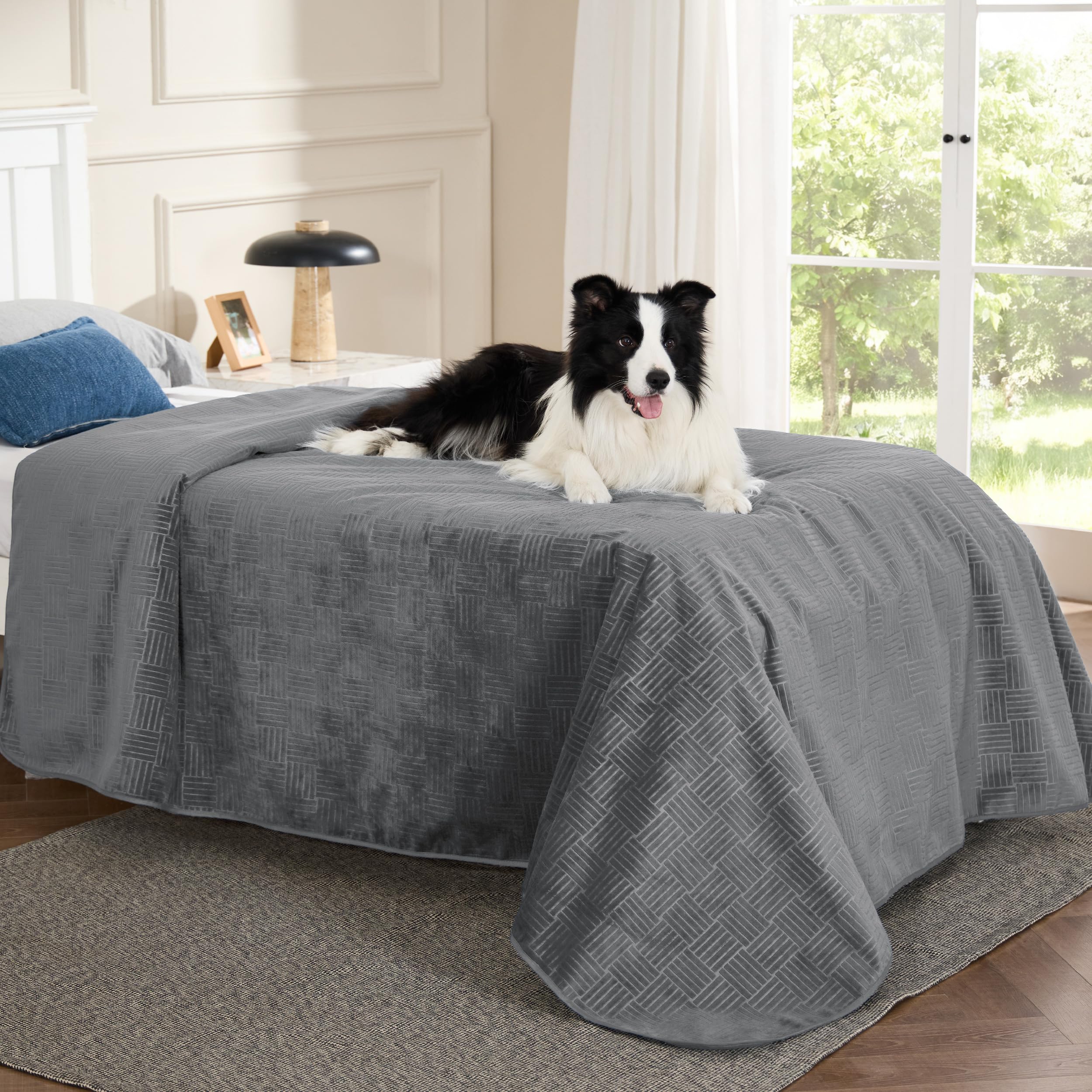 Bedsure: couverture imperméable pour chien sur canapé, protège les meubles des déversements.