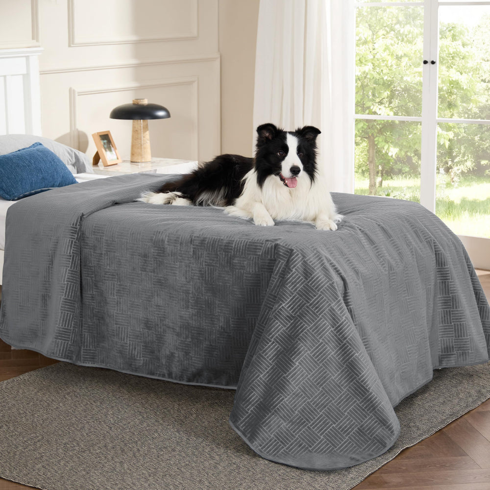 Bedsure: couverture imperméable pour chien sur canapé, protège les meubles des déversements.