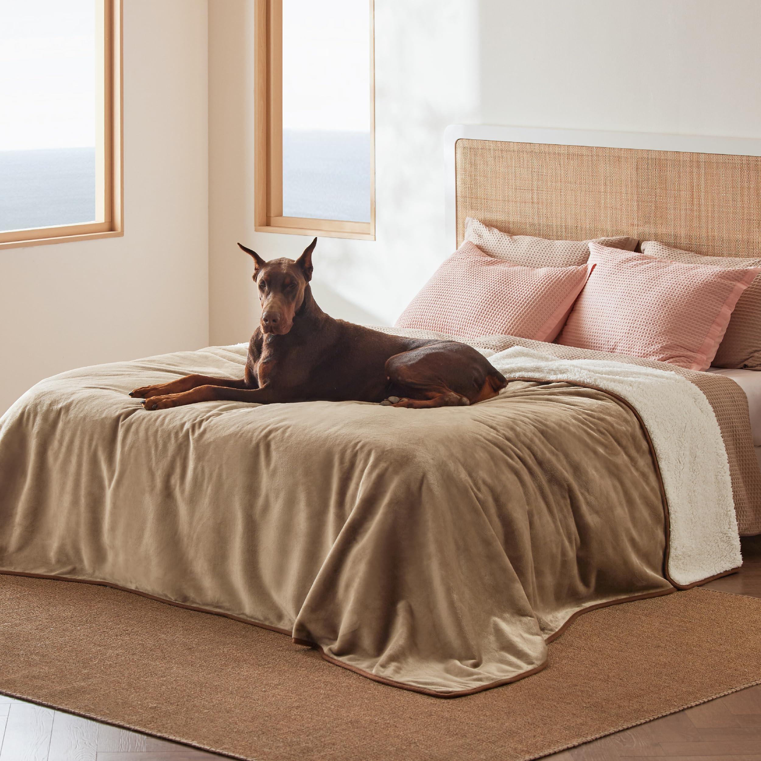 Bedsure couverture impermable lit sherpa pour chien au chaud
