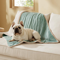 Bedsure: couverture imperméable pour chien protège le canapé des liquides.