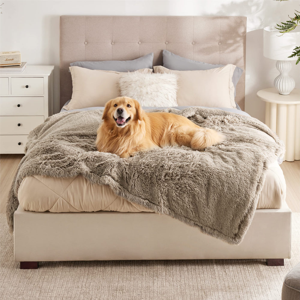 Bedsure couverture imperméable pour chien grande taille protège meubles et sols.