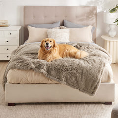 Bedsure couverture imperméable pour chien grande taille protège meubles et sols.