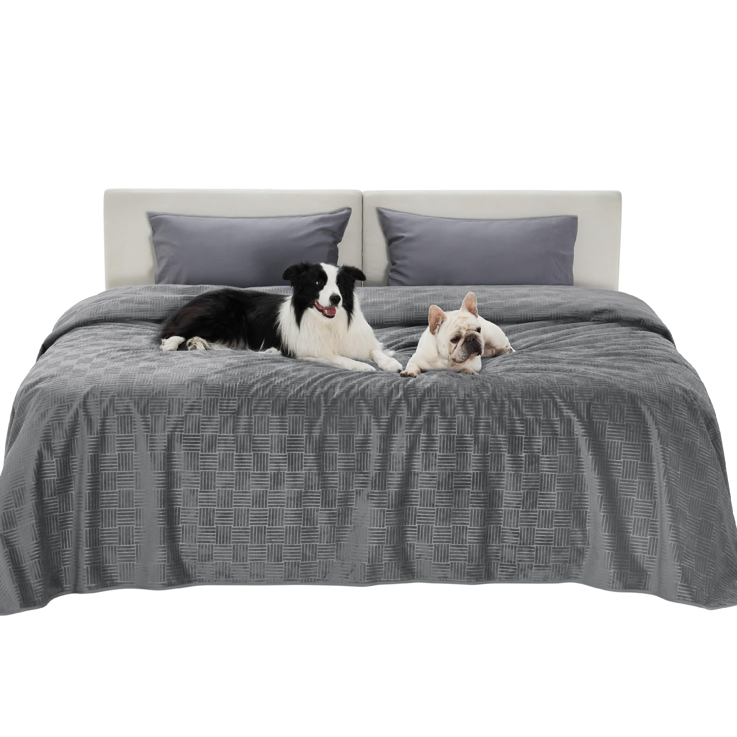 Bedsure couverture imperméable pour chien gris ardoise sur canapé, protection contre les taches.