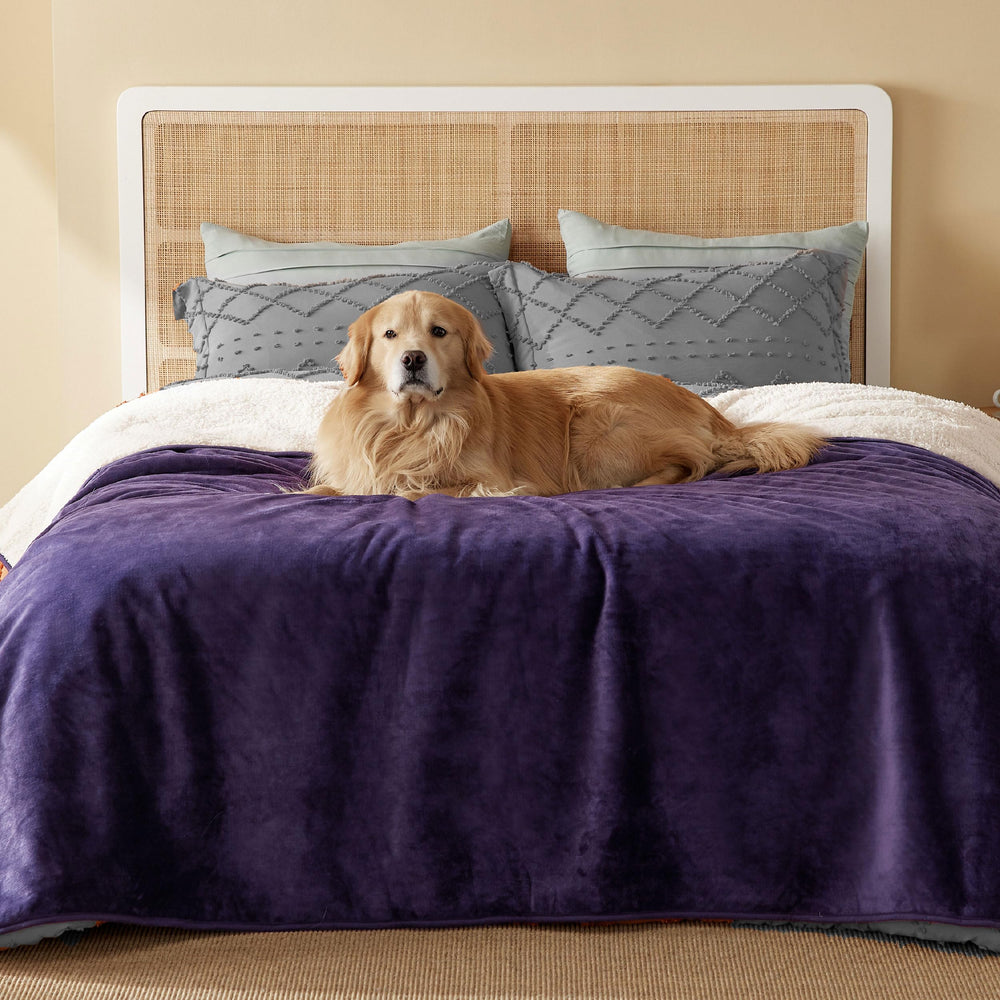 Bedsure couverture imperméable pour chien avec sherpa, protège les meubles.