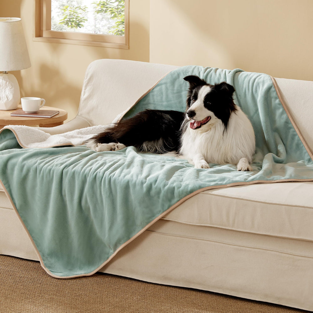Bedsure couverture imperméable pour chien XL, protège le canapé des liquides.