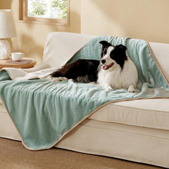 Bedsure couverture imperméable pour chien XL, protège le canapé des liquides.