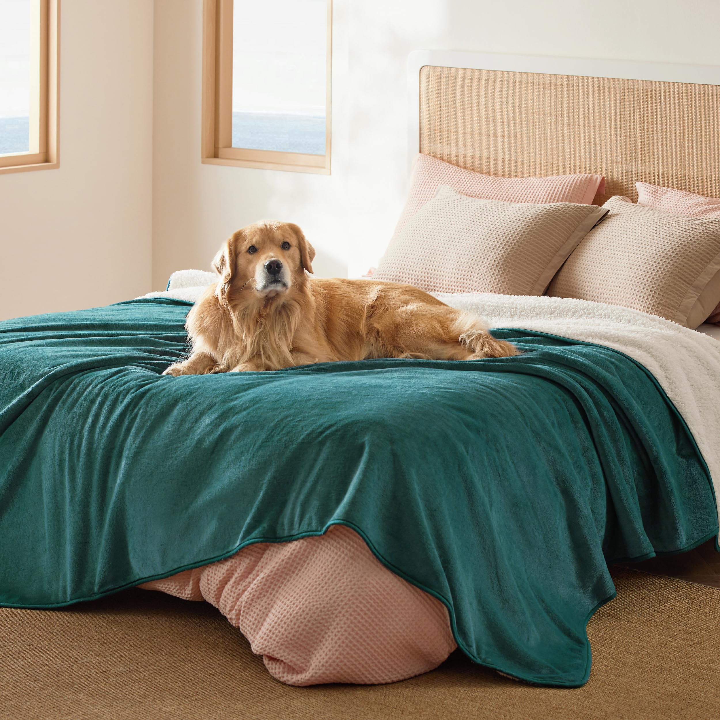 Bedsure: couverture imperméable pour lit avec Sherpa protégeant les meubles des liquides.