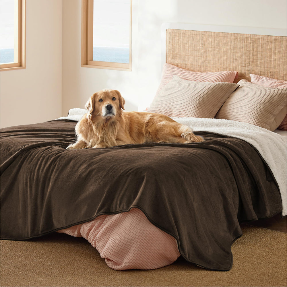 Bedsure couverture impermeable pour lit avec sherpa chaude et protection contre les liquides