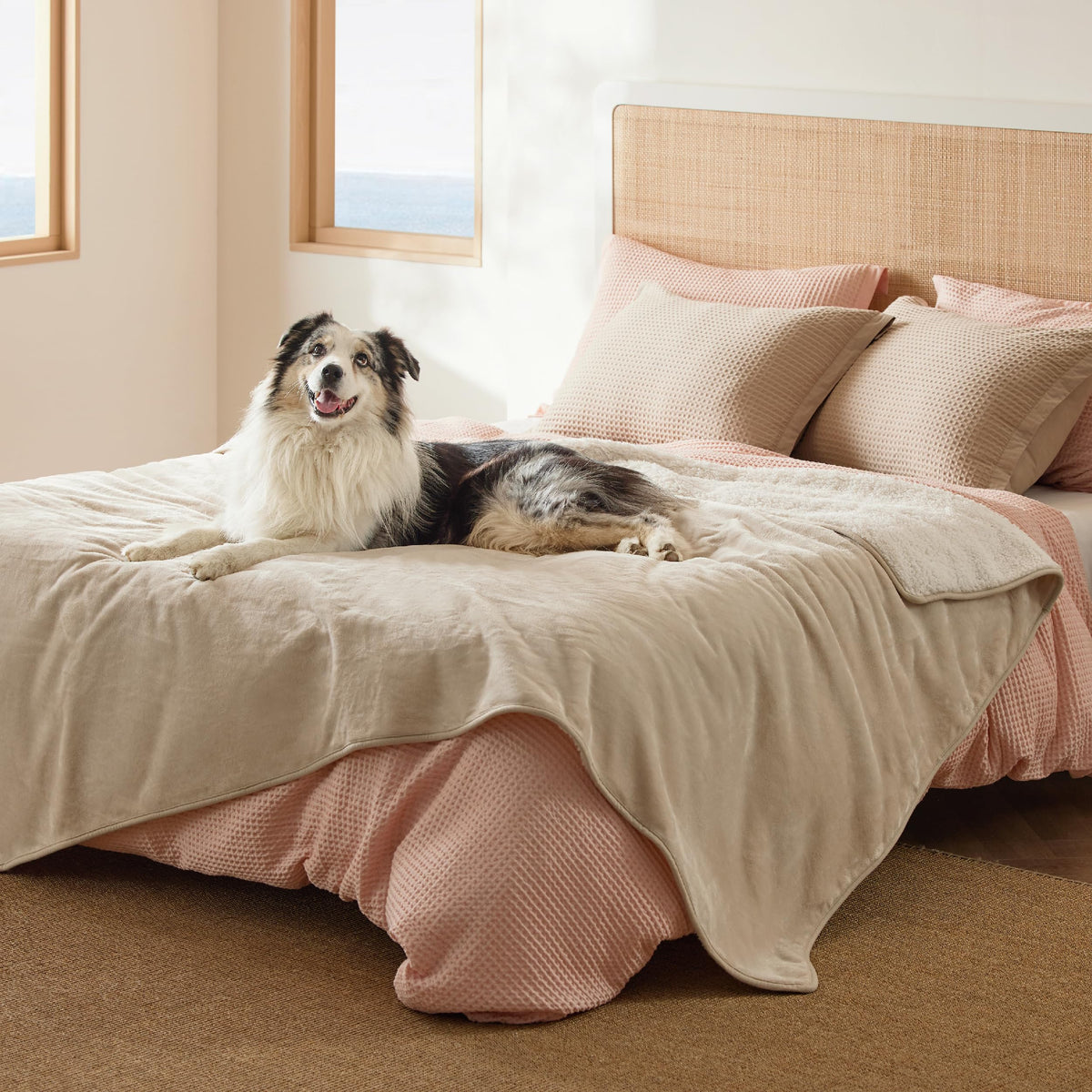 Bedsure couverture imperméable lit sherpa: chaleur enveloppante et protection anti-liquides.