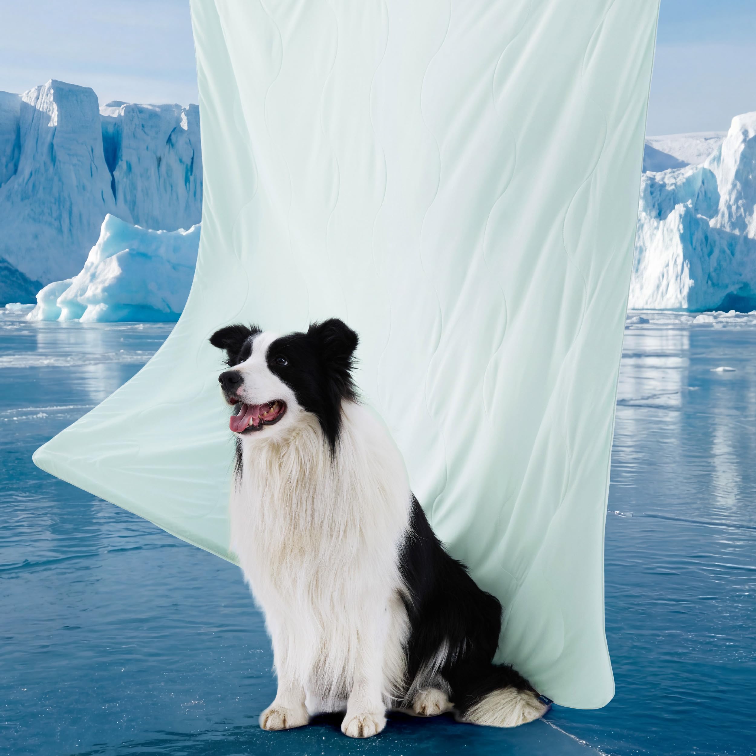 Bedsure couverture refroidissante Air-Core: sensation fraîche immédiate pour votre animal.