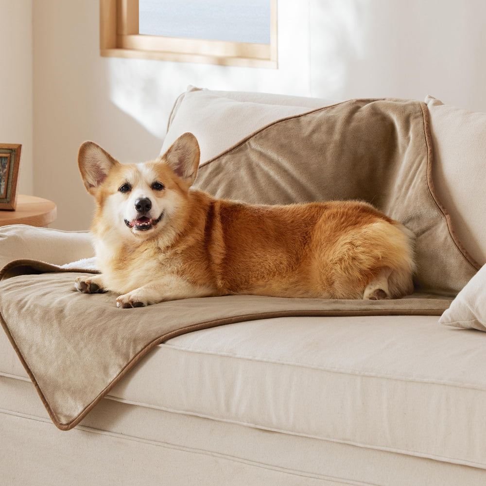 Bedsure sherpa camel dos: chaleur enveloppante pour chien