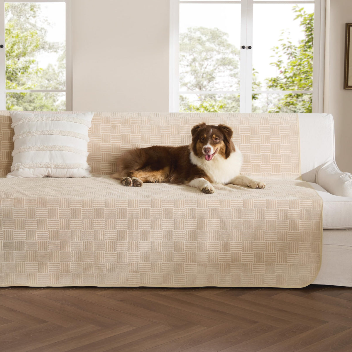 Bedsure couvre-canape imperméable pour chiens protège des éclaboussures.