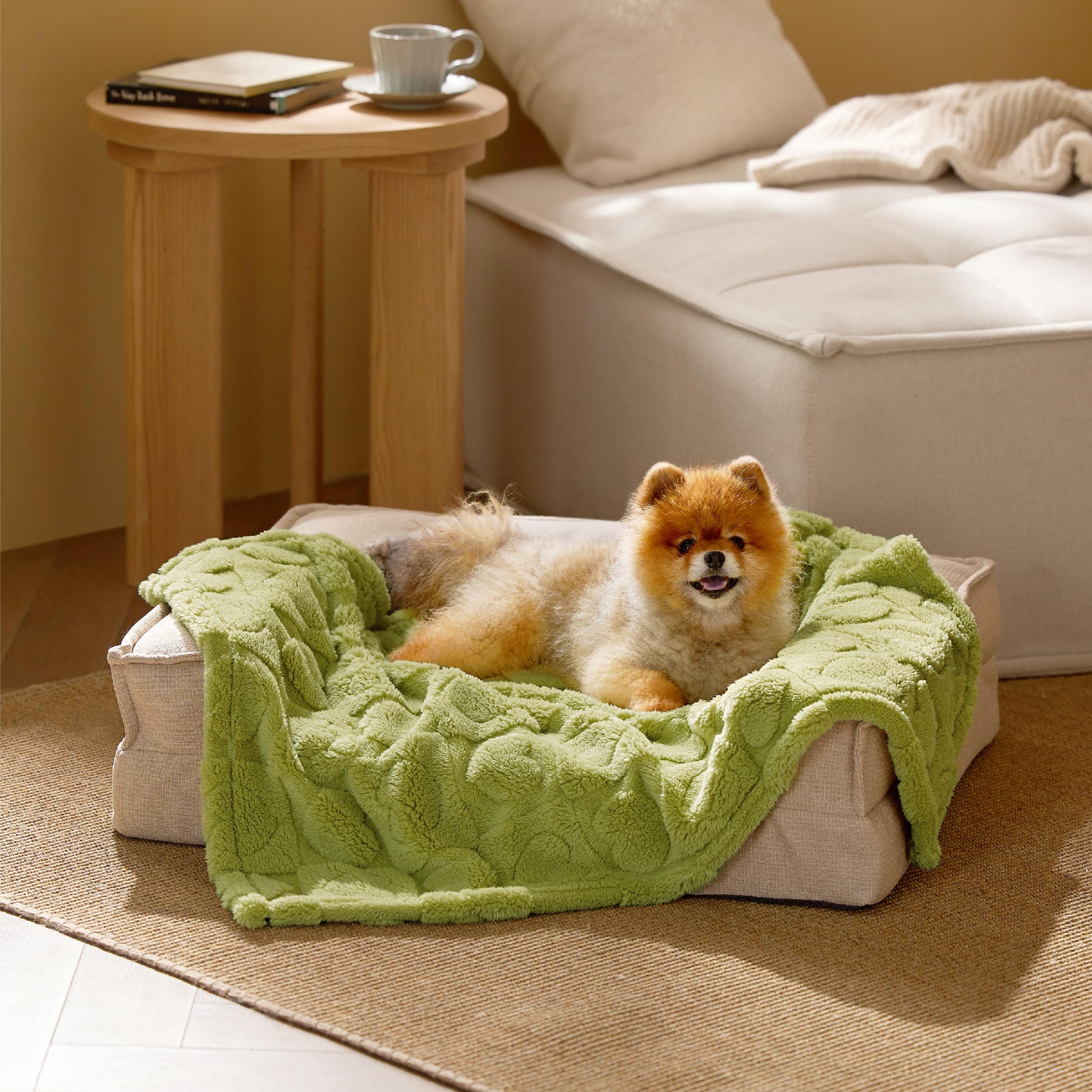 Bedsure deco-couverture-vert-maison, ajout cosy et pratique.