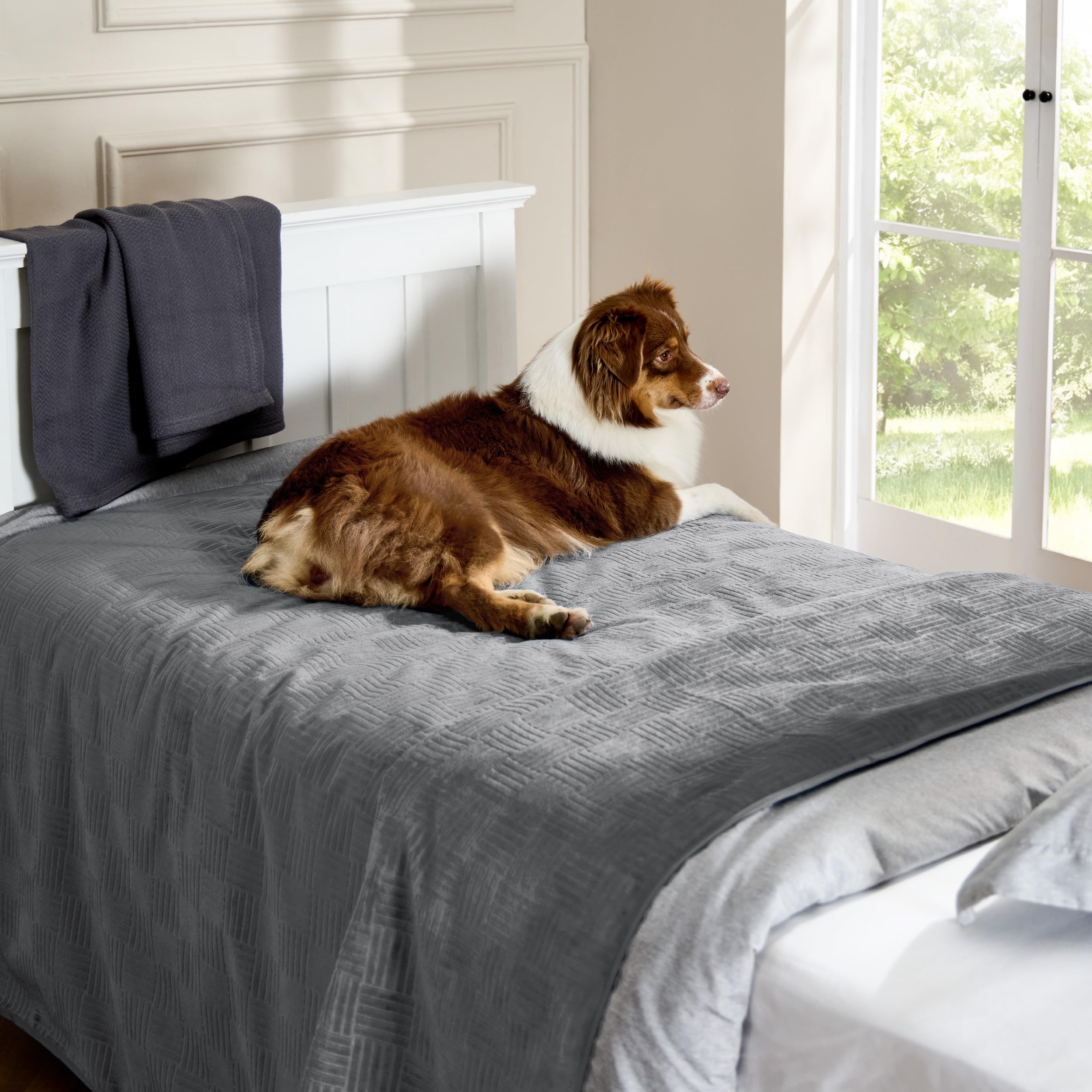 Bedsure dimensions-52x82-po adaptée pour canapés et lits.