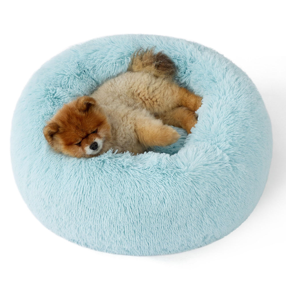 Bedsure lit donut pour petit chien, bleu aqua, confort moelleux.