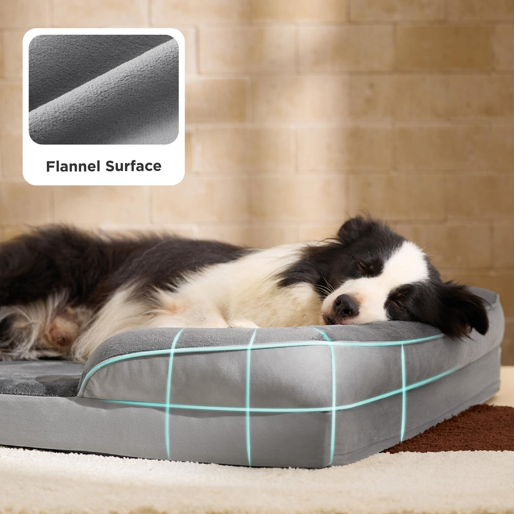 Entrée basse Bedsure facilitant l’accès pour chien moyen