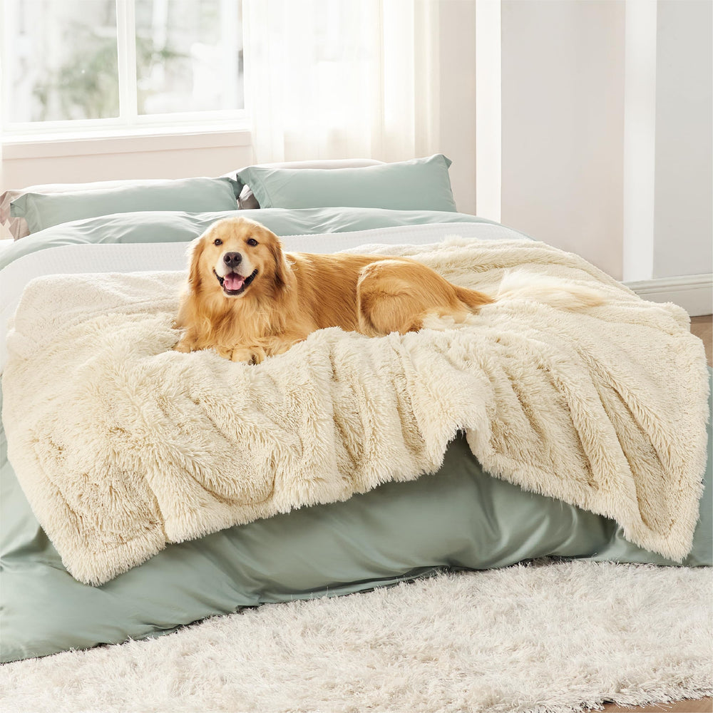 Bedsure grand format 60x80 crème idéal pour lits et canapés