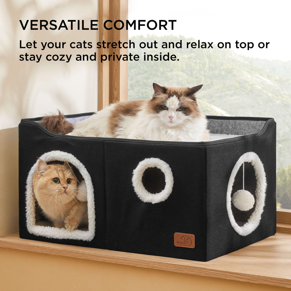 Bedsure grand lit-chat cube plateforme-haut – endroit idéal pour dormir en hauteur.