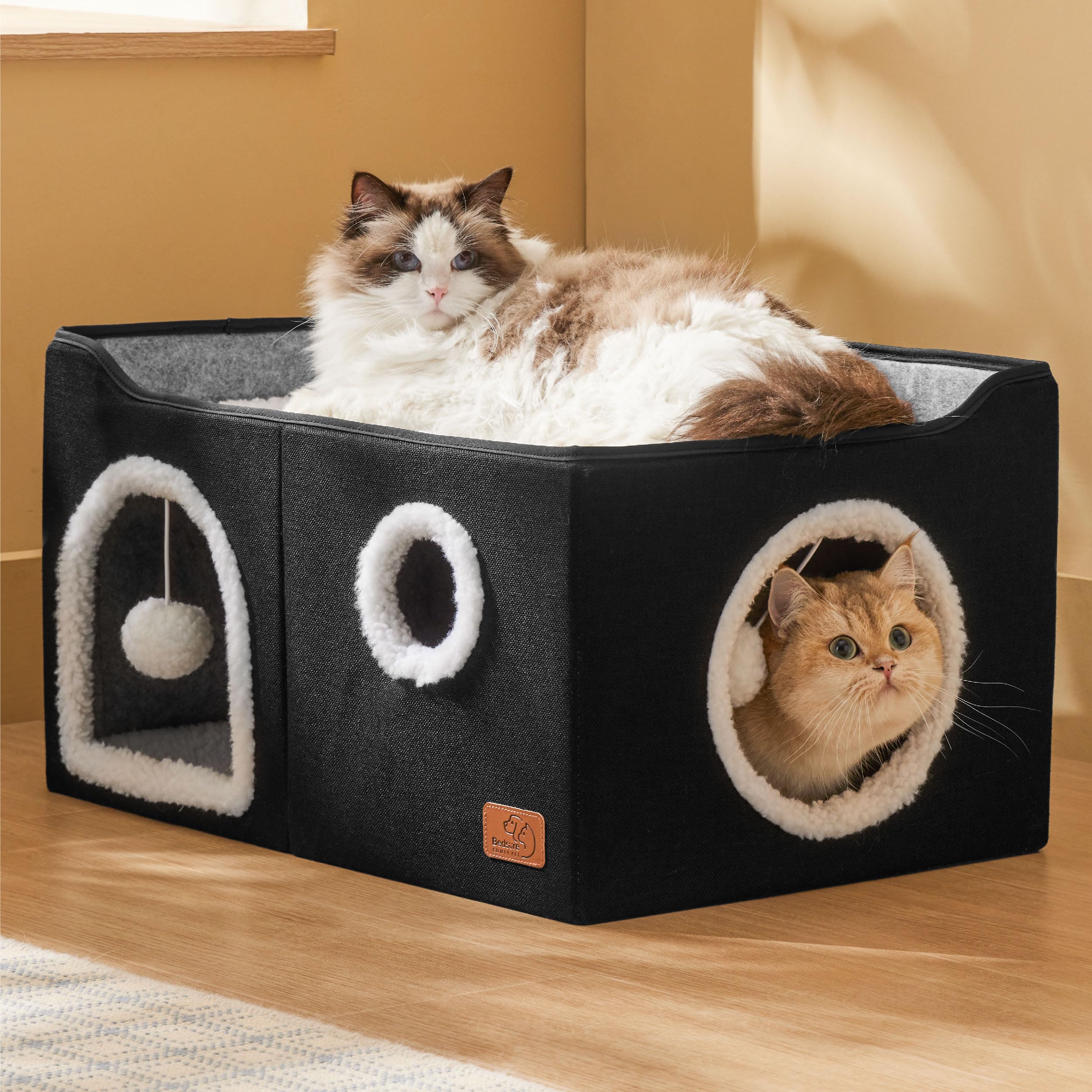 Bedsure grand lit-chat cube tunnel entrées doubles – exploration et jeu pour chats.