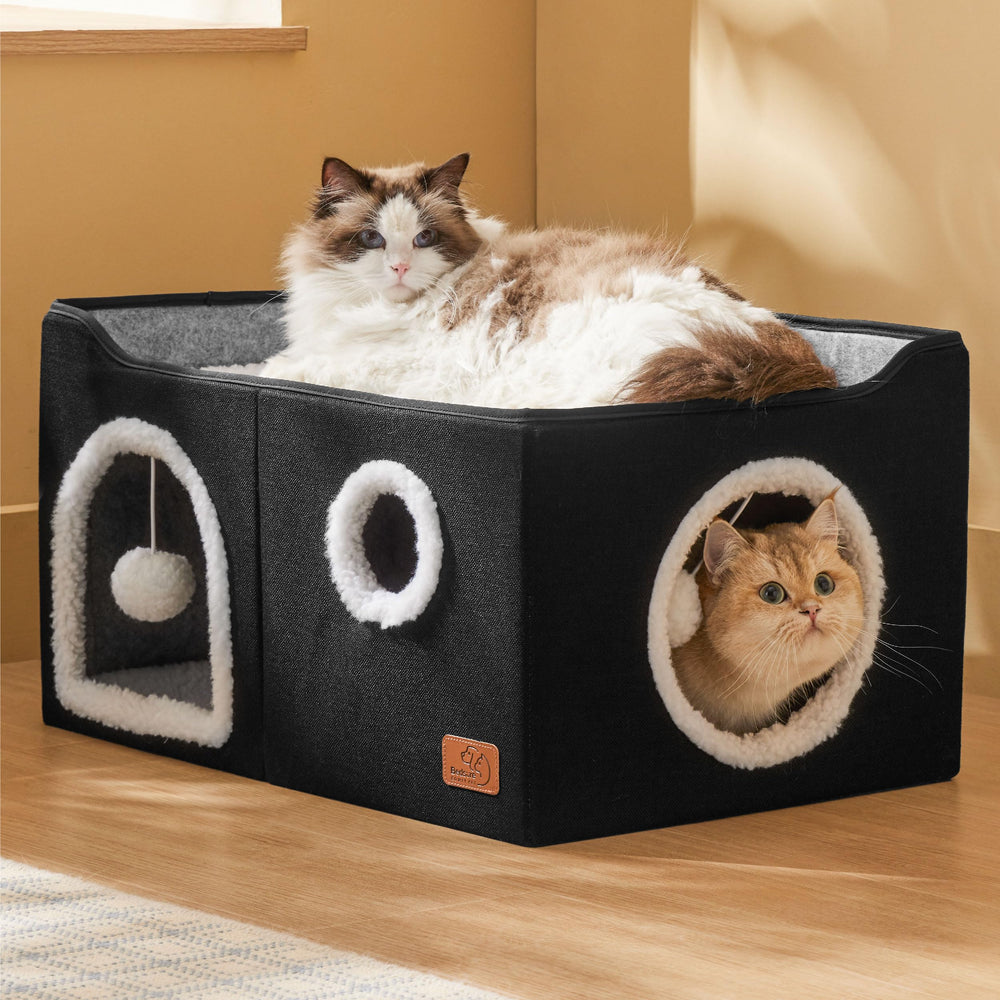 Bedsure grand lit-chat cube tunnel entrées doubles – exploration et jeu pour chats.