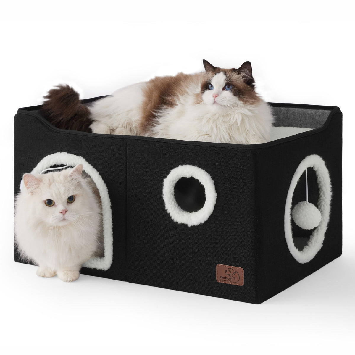 Bedsure grand lit-chat cube vue-ensemble – espace spacieux pour siestes tranquilles.