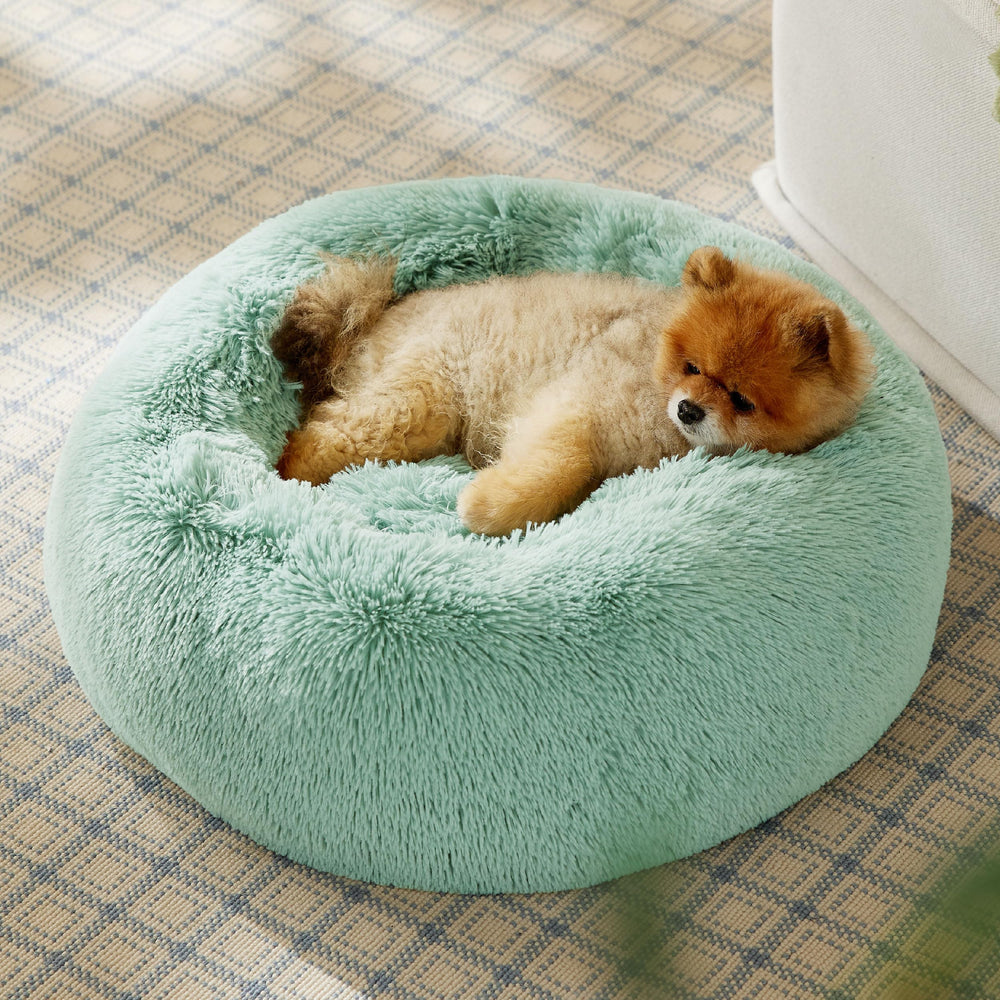 Bedsure lit chien, housse amovible et lavable pour un entretien facilité.
