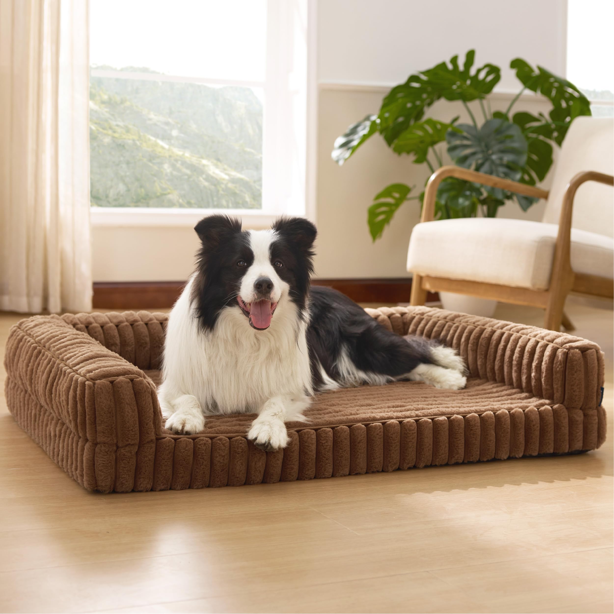 Bedsure lit chien orthopédique avec mousse mémoire pour soutien articulaire.