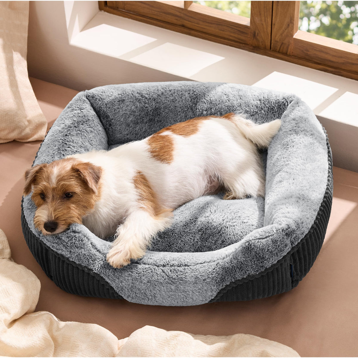 Bedsure lit chien rectangle peluche pour repos doux et sûr.