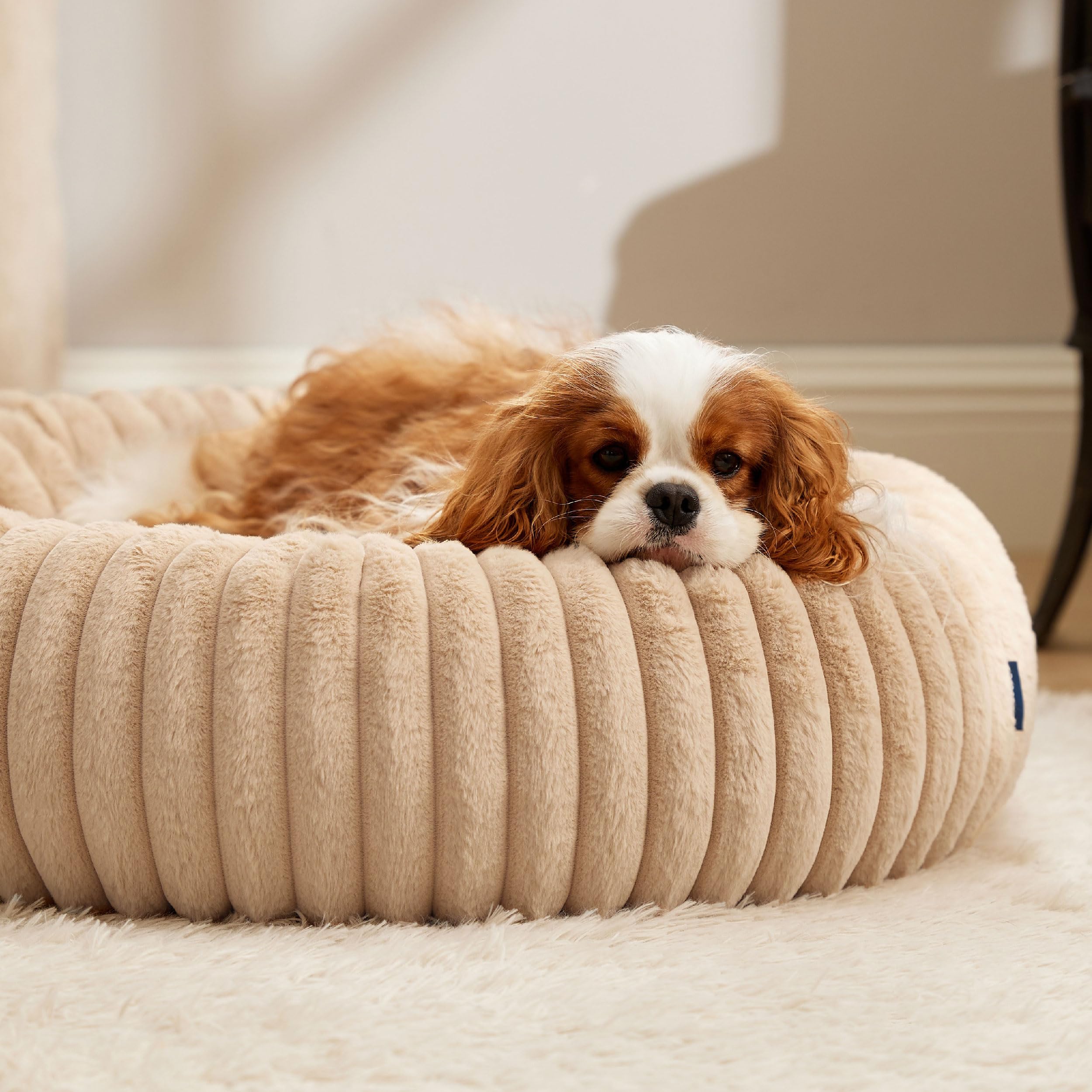 Bedsure nid de confort rond pour chien favorisant le repos.