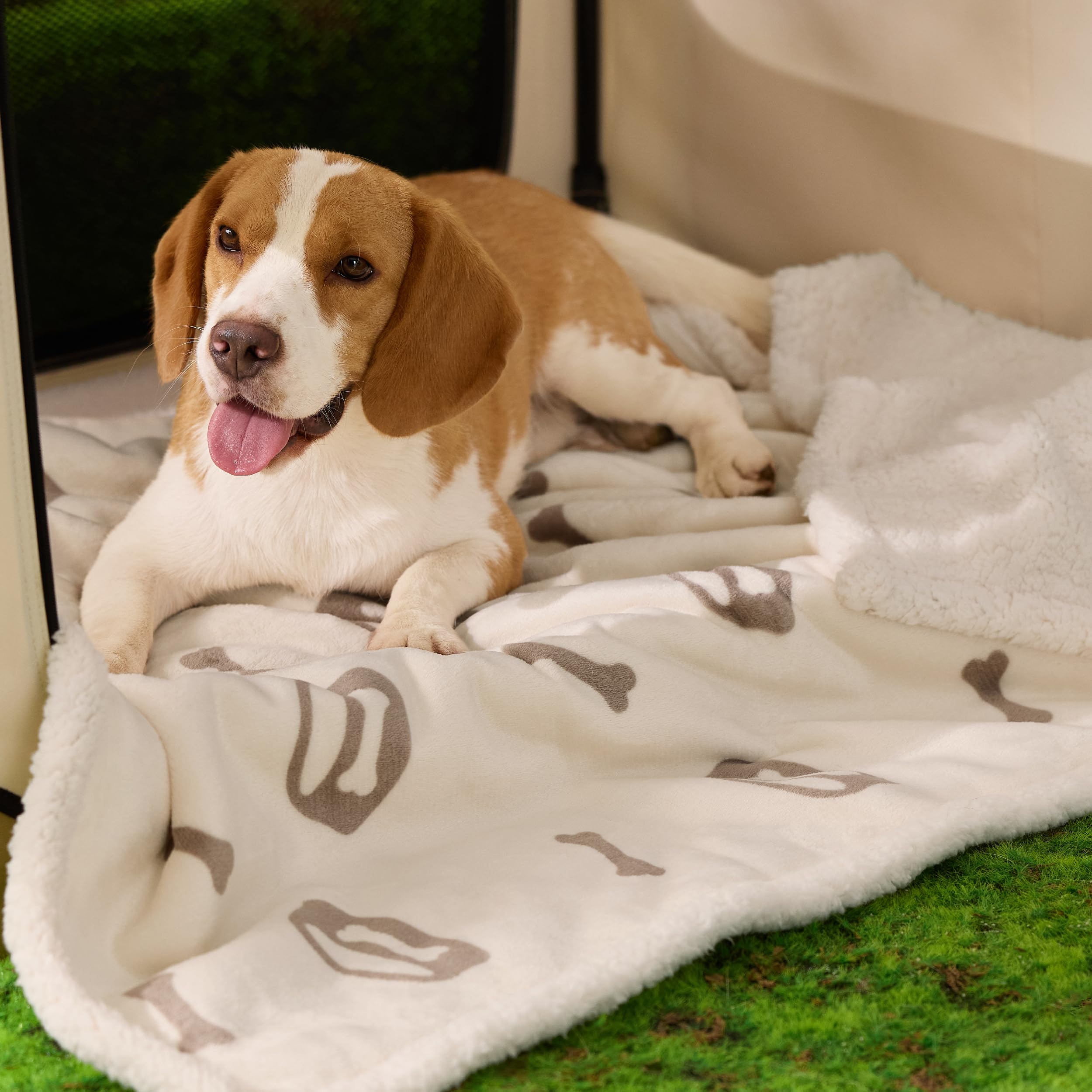 Grand plaid Bedsure 102 x 127 cm, parfait pour grands chiens.